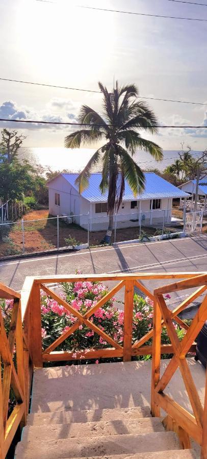 Colorful Garden House Bed & Breakfast Providencia  Exterior photo